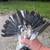 Nikolaevsky (Ukrainian) pigeon 7 thumbnail