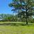 $10K Down, $560/mo 3.62 acres behind Electric gate 9 thumbnail
