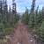 Need dozer work Dot Lake area 2 thumbnail