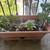 Self-Watering Succulent Garden 6 thumbnail