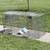 Large humane animal trap 2 thumbnail