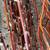 Dried natural decorative branches Grown in Wi (Curly Willow, Dogwood, 14 thumbnail