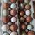 Assortment of Hatching Eggs 3 thumbnail