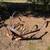 Fertilizer spreader, disc etc(9 implements total) 5 thumbnail