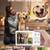 Digital Camera,Autofocus 4K Vlogging Camera for Photography with 32GB 3 thumbnail