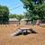 $1,596/mo – Modern 1BR, Walkable Towson Rodgers Forge remodeled 7 thumbnail