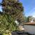 Two-Bedroom Duplex in Lemon Grove w/Yard! 10 thumbnail
