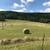 Hay for Sale 2 thumbnail