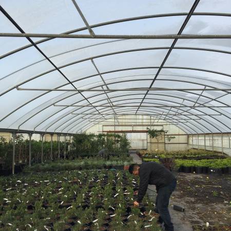 driver, plant nursery worker 1