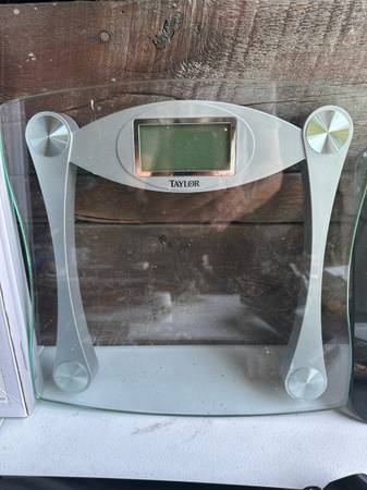Taylor digital scale 1