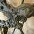 Antique French Wrought Iron Bed 4 thumbnail