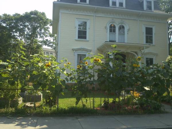 $980 / 8br - 170ft2 - Utilities included - Spacious Chill Household - Convenient Location! (Roxbury)63863135717377120