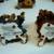 BOYD BEARS 13 PC NATIVITY SET 6 thumbnail