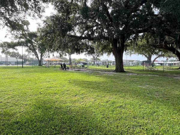 $85,000 Beautiful Homes in the Premier 55+ Resort Community in Florida (Zephyrhillls)64308160670339123