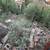 Livable fixer-upper on 1/2 acre Hillside lot 22 thumbnail