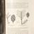 Rare ’The Redwoods of Coast and Sierra’ by James Clifford Shirley 8 thumbnail