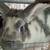 Rabbits 2 thumbnail