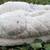 BRAND NEW size 5-6 Acorn Women's Spa Wrap House Slippers 3 thumbnail