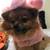 Costumes sz Small 8 thumbnail
