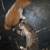 Kittens 3 thumbnail