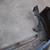 240SX S13 CHIN SPOILER POWER FOLDING MIRRORS FAN SHROUD FENDER LIGHTS 19 thumbnail