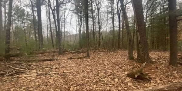 Construcción de $13.000 aquí (Dingmans Ferry, PA)63470215394433122