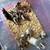 Feeder/pet rats 3 thumbnail