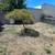 1 bed/1 bath with parking & private yard 10 thumbnail