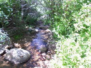 $9,500 FSBO - Vacant Lot (Property near Lake Arrowhead with Seasonal Creek) (Cedar Glen)63865814639873120