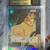 One piece collection 7 thumbnail