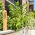In-home, stacked washer and dryer, Roof deck, Pet-friendly community 5 thumbnail