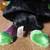 LOT OF 3 DAN DEE HALLOWEEN BEAR GHOST WITCH BLACK CAT TRICK OR TREAT 24 thumbnail