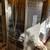 NEW LG 22CF French Door Refrigerator with Smart Cooling® and Spill 2 thumbnail