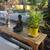 Amazing Woodland Hills Zen Villa room available 13 thumbnail