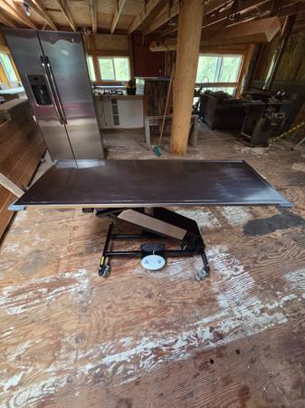 Electronic veterinary operating table 1