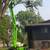 **STUMP GRINDING. TREE TRIMMING TREE REMOVAL LOT CLEARING** 4 thumbnail