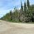 1.05-acre off-grid lot in Funny River 2 thumbnail