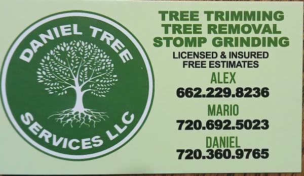 DANIEL TREE SERVECE  LLC 1