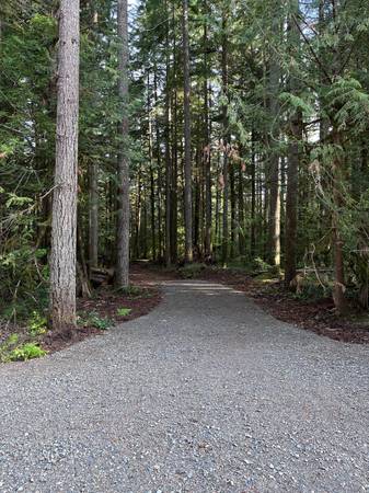 $255,000 / 65000ft2 - Mt.Baker area land (Mt.Baker hwy maple falls)635096026830091217