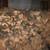 Firewood delivered ($100-170) 3 thumbnail