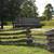 OAK & RED CEDAR SPLIT RAILS & FENCE POSTS 23 thumbnail
