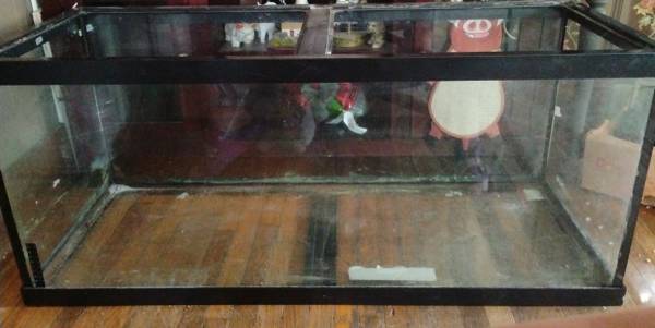 75 gallon fish tank 1