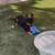 Happy and loveable German Shep Mix (small) 2 thumbnail