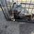 Cats 3 thumbnail