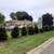 EVERGREEN SCREENING. HEDGES, PRICACY WALLS ETC 4 thumbnail