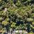 1.75 acres in Bay Area for $170,000....um, what? 15 thumbnail