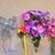 Faux Flowers 6 thumbnail
