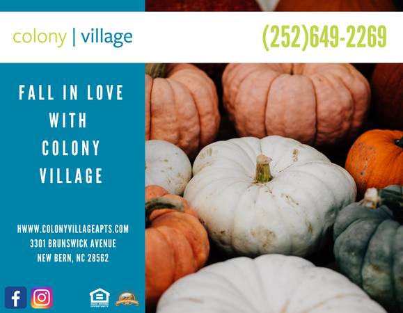$1,365 / 3br - 1000ft2 - Fall in Love with A Quiet Townhouse @ Colony Village (New Bern)63897185977091120