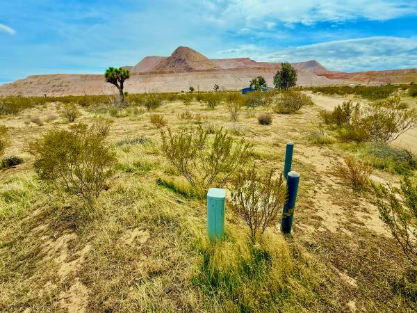 $13,500 / 87120ft2 - 12220 Magazine Gap Drive- Terreno Vacante (Mojave)63612012575105121