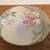 Regina Ware Hand Painted Plate Germany 1950's 5 thumbnail